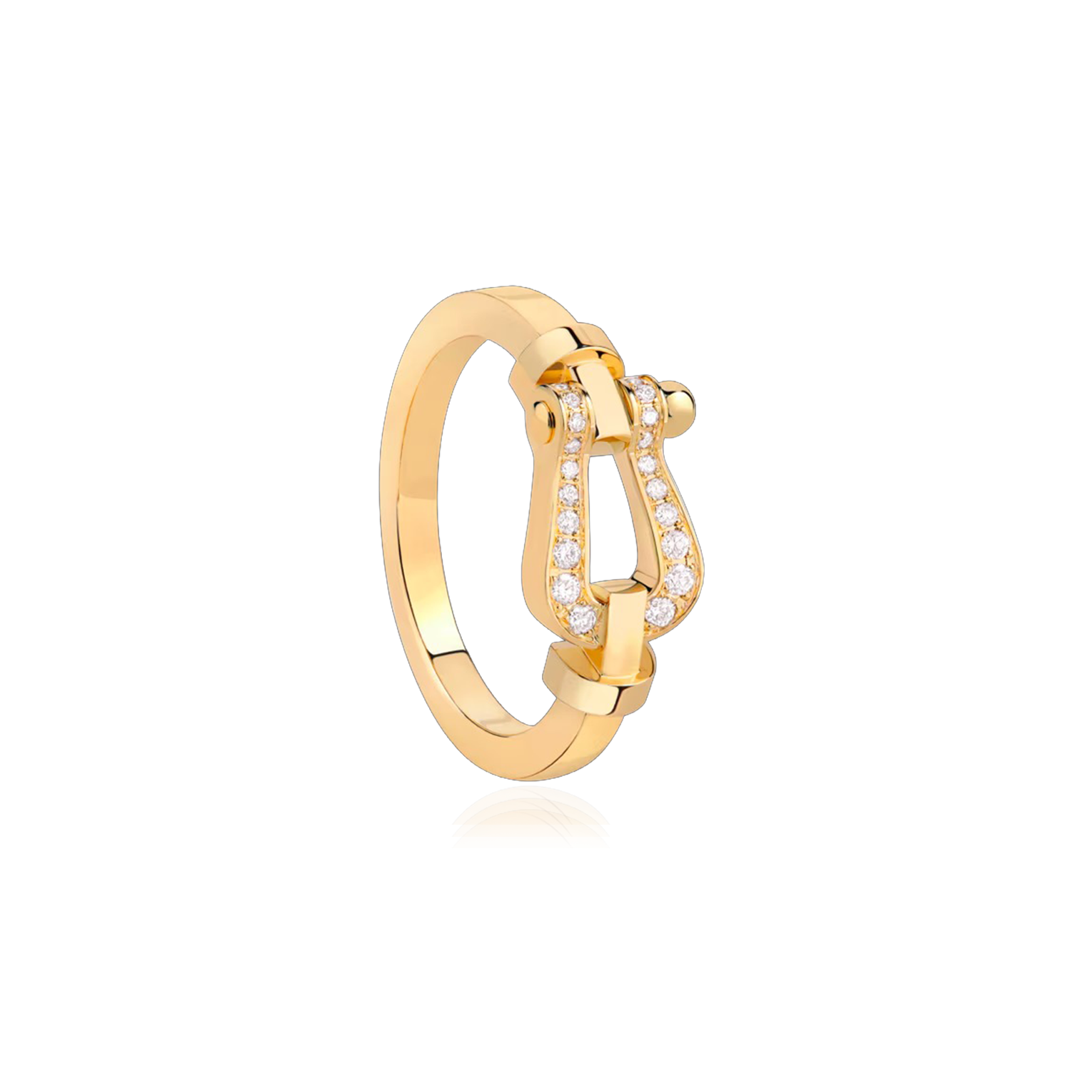 Anillo Force 10
