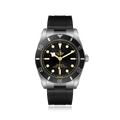 Black Bay 54 Timepiece