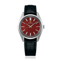 Modelo Exclusivo Europeo SBGW321